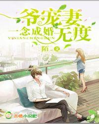 一念成婚:爷宠妻无度